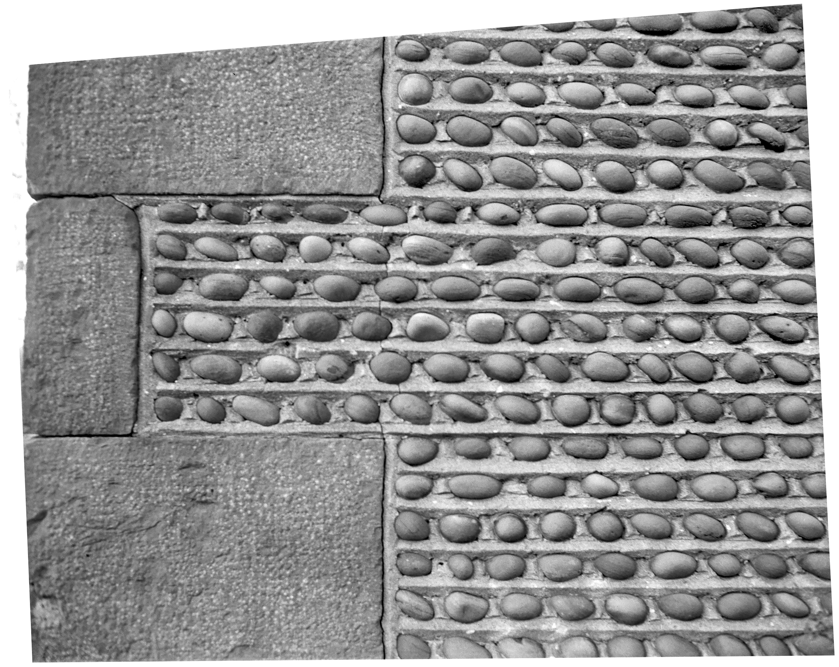 GP Wayne Ontario Ont-12 4-1 P